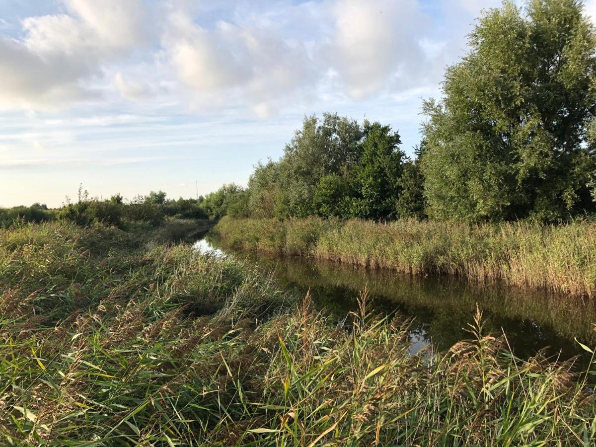 Westkapelle Comfortabele Strandkamer Aan De Kreek Exterior foto